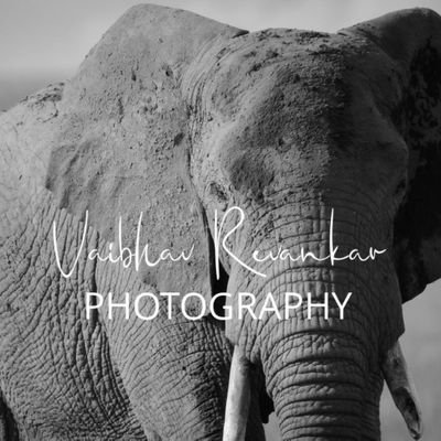 Wildlife photographer. Musician. Spreading good Vibes.