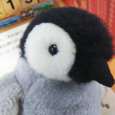 松本深志高校図書委員会さんのプロフィール画像