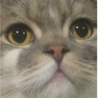 荘介 (@sousuke916) 's Twitter Profile Photo