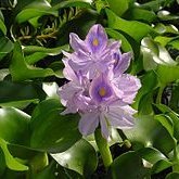 KostenSarian's profile picture. 