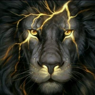 Nnamdi42589652's profile picture. My giftings.