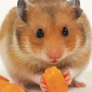 NBT_boy's profile picture. แบ่งปันประสบการณเย็ดเฉยๆครับ ไม่มีกลุ่มไม่ต้องถามครับ