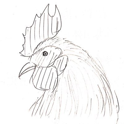 にわとりさんのプロフィール画像