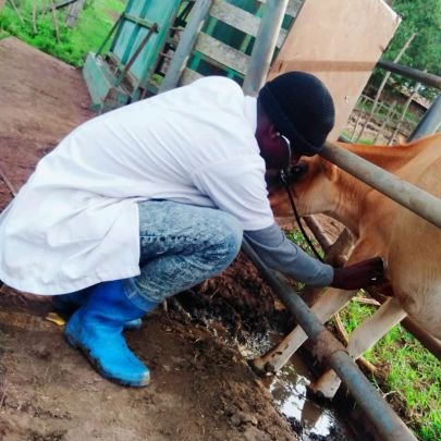 TripleXTentaci6's profile picture. Man of animal health💉🔬👨🏽‍⚕️

PES/FIFA Player🎮