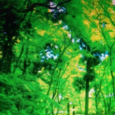 nonbirico18's profile picture. 『中居正広』あなたの全てを100%信じ、尊敬し、応援しています。
あなたの選ぶ道.  あなたの優しさ.  あなたの周りの優しさ.  あなたの全てが大切です。
『たくさんの笑顔がいっぱい咲きますように』
『中居正広』100%🌟大好きです｡

📱もTwitterもまだまだ全くの🔰です。