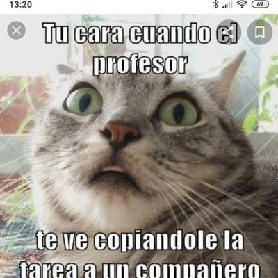 Me bajo y me subo a la vida 50 veces en un día.
Viviendo la vida universitaria.
Me gusta comer y dormir
Proyecto de enfermera 💉