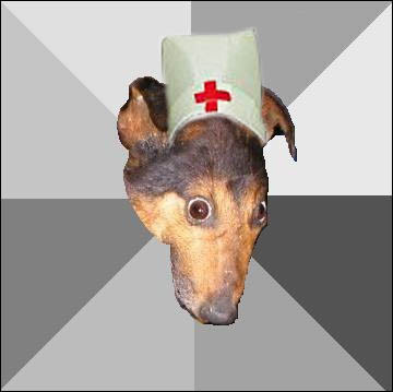 enfdadepressao's profile picture. Você sempre quis Enfermagem. Ninguém acredita.