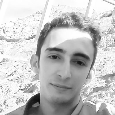 Hesari_ir's profile picture. Financial markets activist