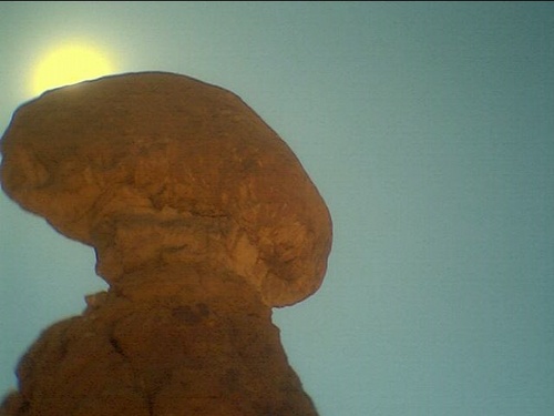 DanvilleJohnny's profile picture. 