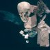 Icelandic Sorcery (@sorcerymuseum) Twitter profile photo Icelandic Sorcery (@sorcerymuseum) Twitter profile photo
