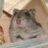 あずき日記のアイコン