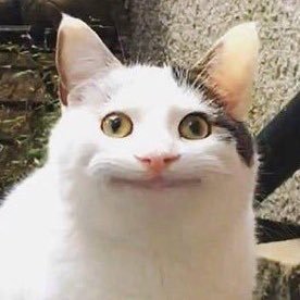 VTUw67yCvziaZbN's profile picture. 