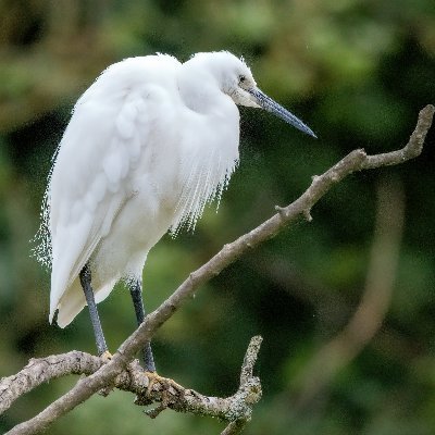 kevinduell1's profile picture. 