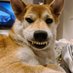 lolz (@xai93) Twitter profile photo lolz (@xai93) Twitter profile photo
