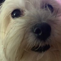Jorg (@betterseverson) 's Twitter Profile Photo Jorg (@betterseverson) 's Twitter Profile Photo
