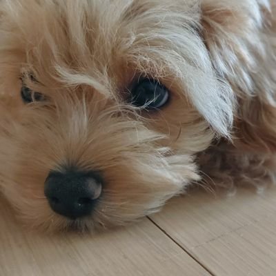 밥さんのプロフィール画像