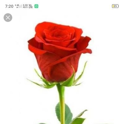 💯%💯%RELIENCE ME 💯%💯% 💯%💯%FOLLOW ME 💯%💯% 💯% 💯%FOLLOW BACK 💯% 💯% 💯%💯%GUARANTEE 💯% 💯% 💯% WITHEN 12 HOURS 💯%