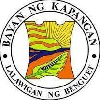 PNPKapanganMPS's profile picture. 
