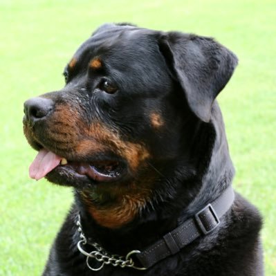 FredLitschka's profile picture. WTF is happening in SA?