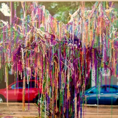 shellybienvenu's profile picture. 💜💚💛⚜️