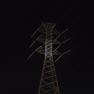 cicadawing's profile picture. high minded low life