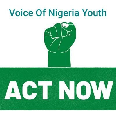 VoiceOfNigeri15's profile picture. 