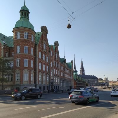 nahuel_reynaldo's profile picture. 