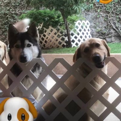 folsompcm's profile picture. 