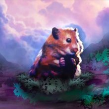 Community Manager of Farm Merge Valley @playFMV 🎮 Former CM @NeverwinterGame, @GearboxOfficial, @MetzJeu. Opinions/Tweets are my own.