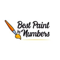 BestPaintByNumbers (@paintbynumbers0) 's Twitter Profile