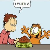 Garfield, but with lentils.

Main: @lentildestroyer
