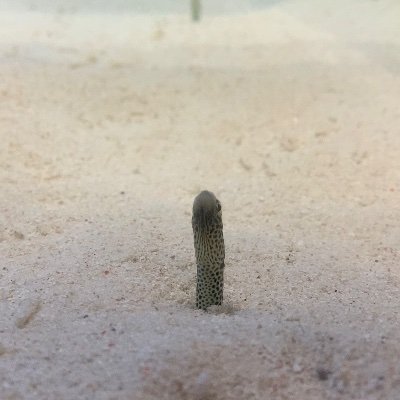 都内近郊住み/30代/ 色んな人とお話ししたいので沢山絡んでください/Xでいい出会いがあると信じてる☺️ 無言フォローすいません
