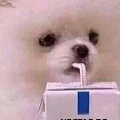 laurenjokeszz's profile picture. 𝚠𝚒𝚎𝚛𝚍 𝚒𝚜 𝚊 𝚕𝚒𝚏𝚎𝚜𝚝𝚢𝚕𝚎| 𝚋𝚛𝚞𝚑𝚑|𝚔𝚔 𝚋𝚊𝚒𝚒