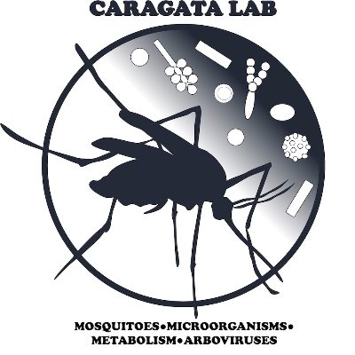 Assistant Professor in Entomology. My lab studies mosquito-microbe interactions at FMEL in Vero Beach, FL. UF/IFAS. He/Him. Views/opinions my own.
