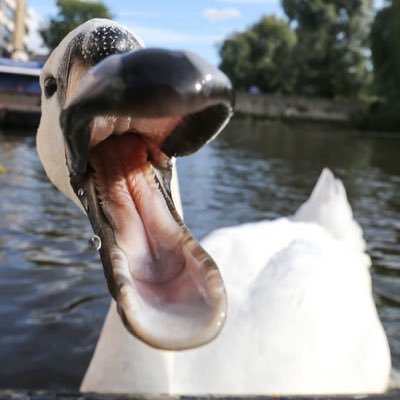 Registrationem1's profile picture. 