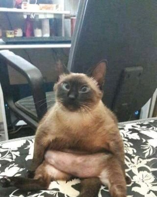 lll