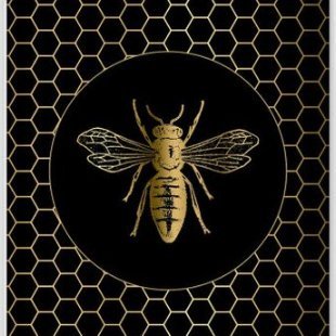 heptakaideca's profile picture. 