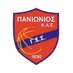 Panionios B.C. (@PanioniosBasket) Twitter profile photo