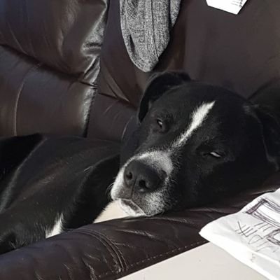 Richardb932's profile picture. Socialist, criminologist and public transport user