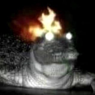 Tweeting every Fire Gator Thursday from now until the end of time