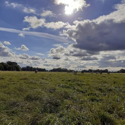 sobbydunne's profile picture. 