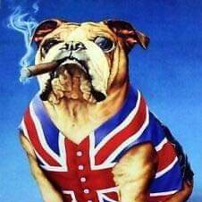 Patriotic brexiteer. Pro freedom of speech. Animal welfare and apparently a gammon flag shagger!😂 🏴󠁧󠁢󠁥󠁮󠁧󠁿🇬🇧🍺