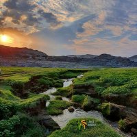 زائر جيزان (@lsx54tbnw7b7hzn) Twitter profile photo