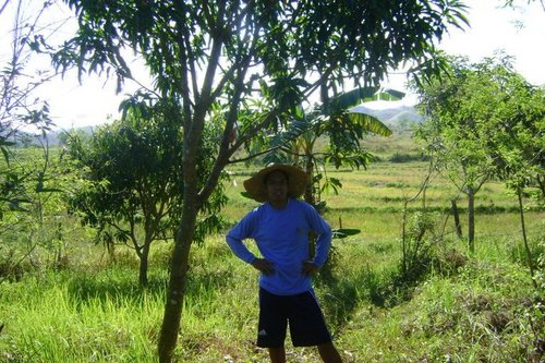 mandy_netgate's profile picture. 