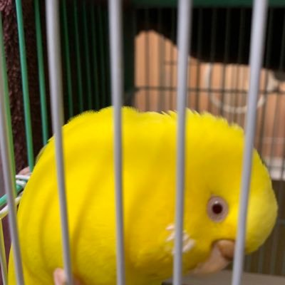 がっきーさんのプロフィール画像