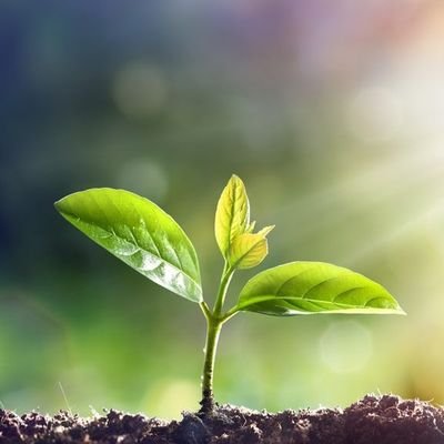 Saeid_7697's profile picture. Happy Life Is Hidden In Nature!