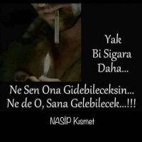 .......... (@gnlsevgi4) 's Twitter Profile