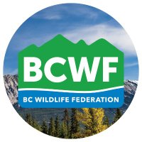 B.C. Wildlife Federation(@BCWildlife) 's Twitter Profile Photo