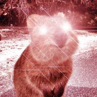 Qdaho (@bascofrom) 's Twitter Profile