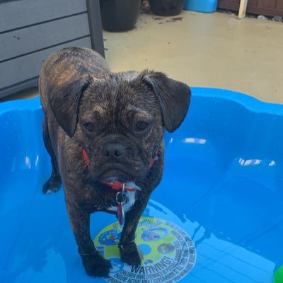 mikelitorisno2's profile picture. Start a fight club, brad reputation